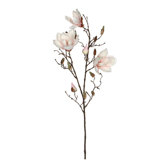 Magnolia cor rosa 88cm
