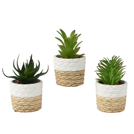Conjunto de 3 vasos decorativos